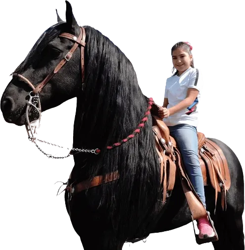 Talleres extracurriculares